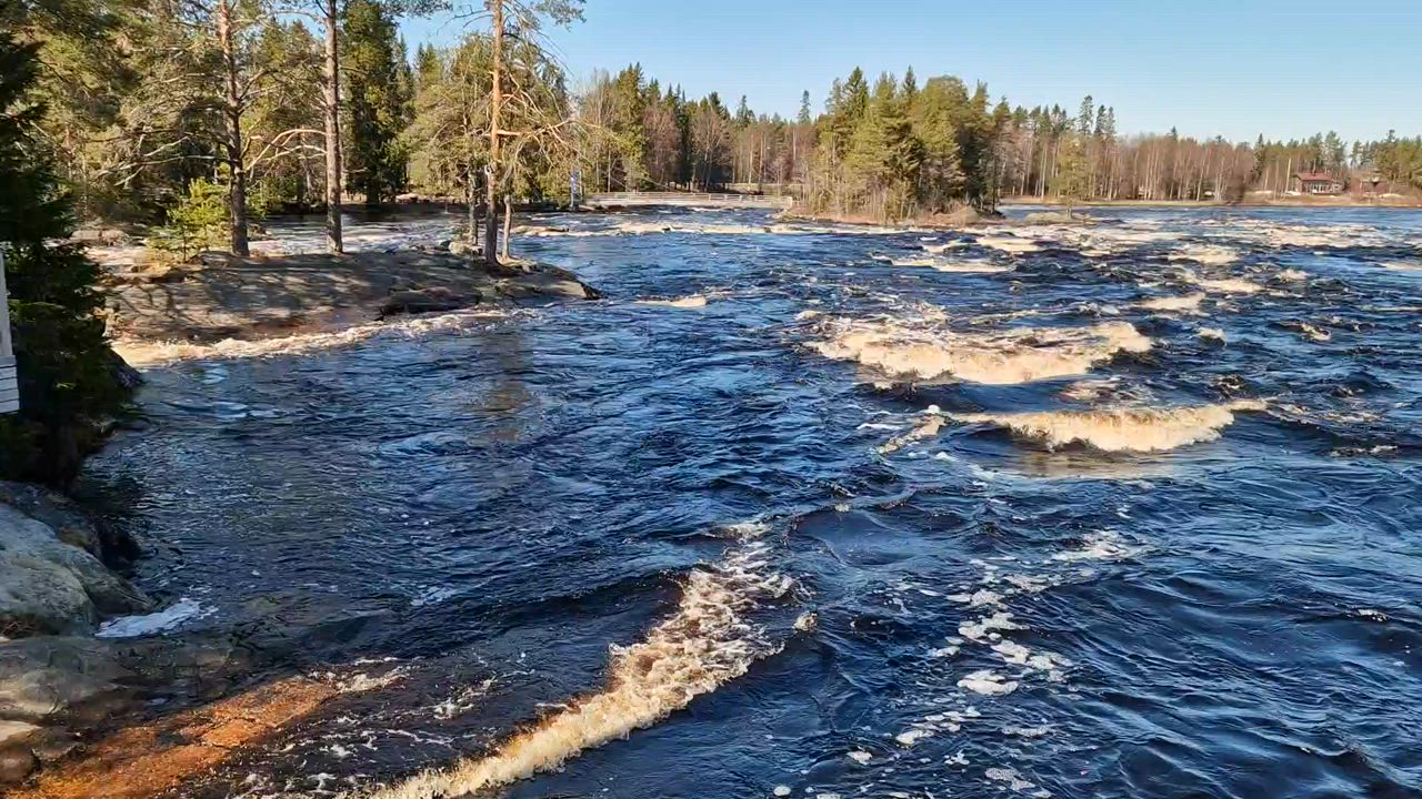 Kiiminki Koitelinkoski.  9.5.2023.  Tulvahuippu vielä edessäpäin.