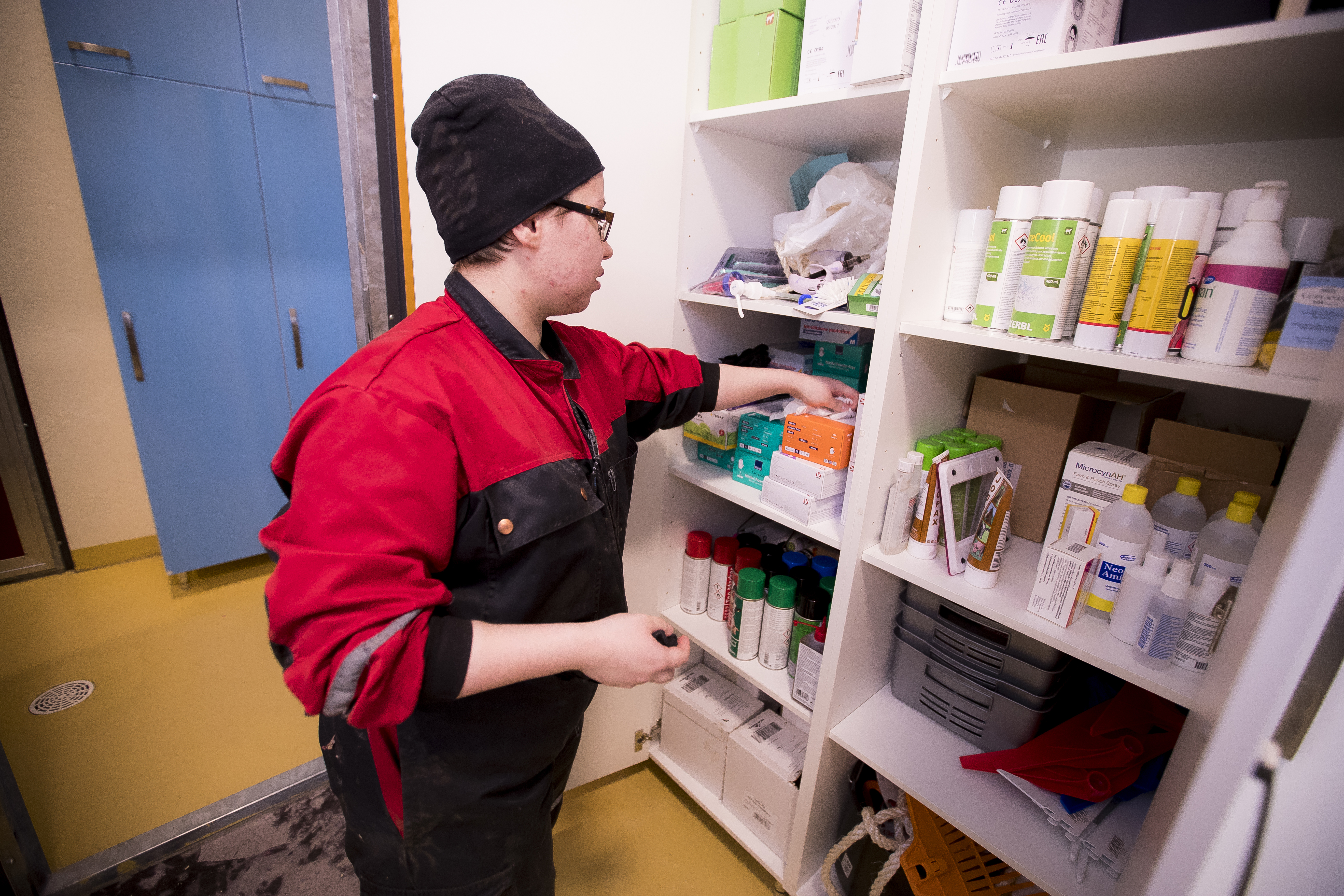 Palokankaalla on kolme navettaa, ja niissä pitää jokaisessa olla samat tarvikkeet saappaista ja käsineistä lähtien. Samoilla saappailla ei toiseen navettaan lompsita.