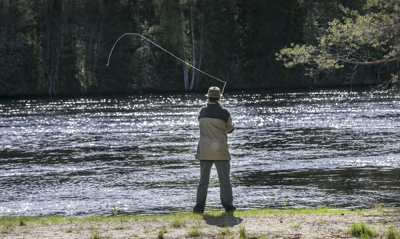 Montta-Pyhäkosken kala-apaja: Muhos houkuttelee kalastajia Oulujoelle. Kalastus