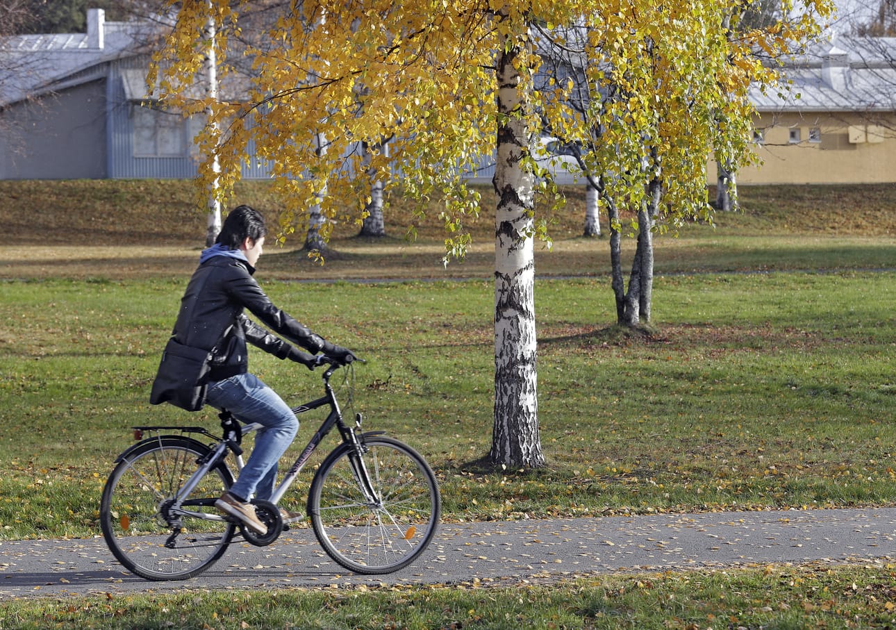 Lähes joka toinen pyöräilevistä miehistä on kaatunut tai joutunut onnettomuuteen viimeisen kolmen vuoden aikana, selviää Liikenneturvan pyöräilykyselystä.