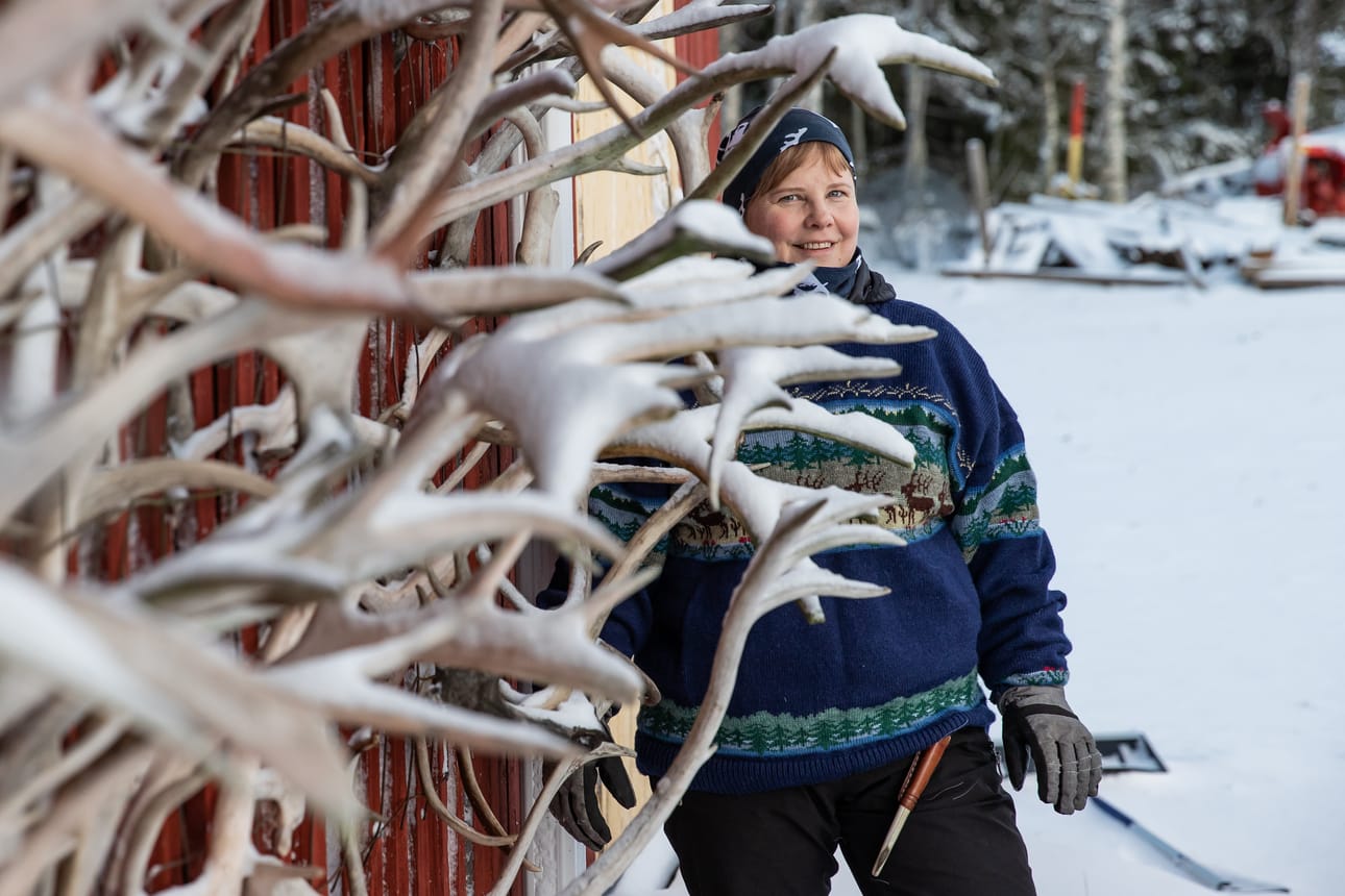 Palosaaren poro- ja kalastustilan yrittäjä Satu Palosaari on Kuusamon vuoden 2025 Yrittäjänainen.
