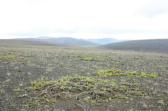 Tuulen kuljettamat jää- ja tuhkakiteet kaluavat törmiä.