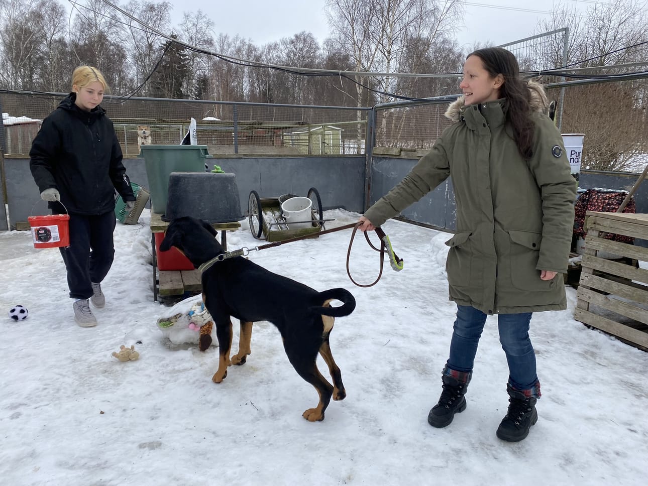 Koiratarhan päivä koostuu ruokinnasta, siivouksesta ja ulkoilusta. Yrittäjä Niina Männistöllä (oik.) on remmissä dobermannin ja rottweilerin sekoitus Roki. Joanna Salmi on viikon tet-harjoittelussa Kulkurissa