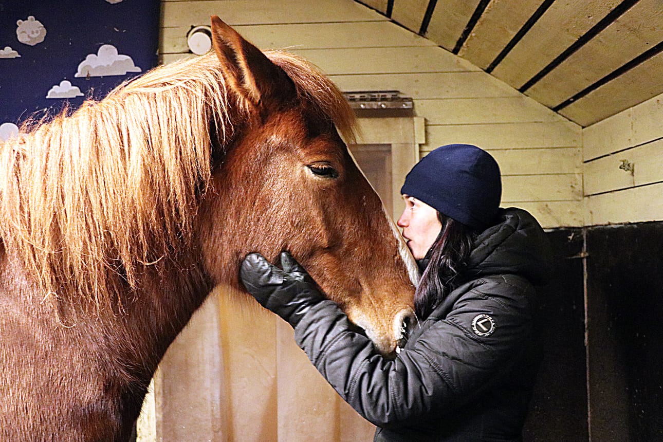 Pikku-Hilma nauttii metsässä liikkumisesta. Edes eteen pölähtänyt hirvi ei ole sitä pelottanut.