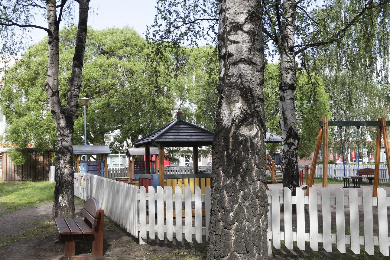 Ruokasenpuisto näytti tältä joitakin vuosia sitten. Nyt koko alue on raivattu puiston peruskorjauksen vuoksi. Tänä kesänä on puhuttanut myös Konttisenpuiston raivaus, joka tapahtui vahingossa. Maisemaa on muuttanut myös Porokadun varren kymmenien mäntyjen kaataminen kaukolämpötyömaan vuoksi.