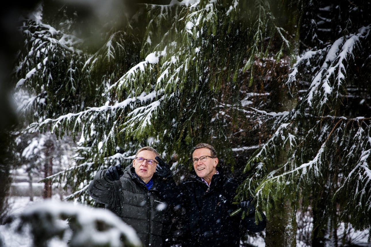 Metsähallituksen pääjohtaja Pentti Hyttinen (oik.) ja luontopalvelujohtaja Timo Tanninen lupaavat, että toiminnassa paneudutaan aiempaa voimallisemmin ilmastonmuutoksen huomioimiseen ja monimuotoisuuden köyhtymisen ehkäisemiseen.