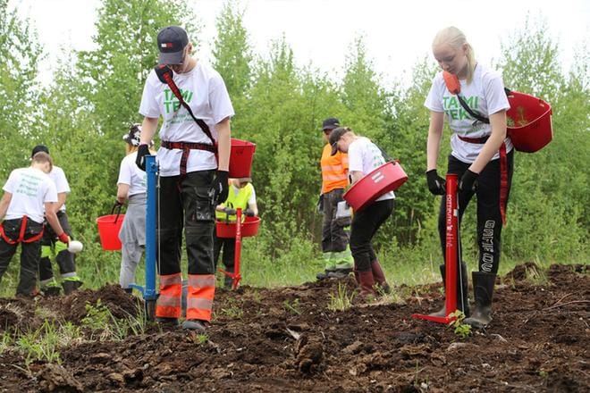 Taimiteko on työllistämisteko, sillä sen kautta varsinkin alle 18-vuotiaat nuoret saavat kesätöitä. KUVA: SUOMEN 4H-LIITTO