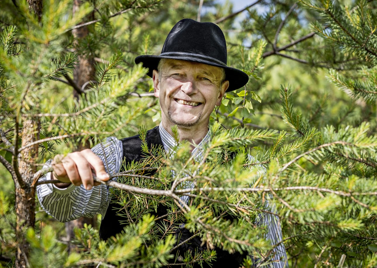 Vaikka Arto Hongisto on luovuttanut metsänsä nuoremmalle polvelle, ei hän kauaa pysynyt metsistä poissa. Alkuun hänet pantiin järjestämään Oulun Seudun Metsätilanomistajien kesäretki. Nyt hän toimii koko yhdistyksen puheenjohtajana. Syntymäpäiväjuhlatkin pidetään metsässä.