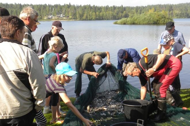 Porraslampea hoidetaan muun muassa hoitonuottauksella. KUVA: VIISKUNNAN ARKISTO
