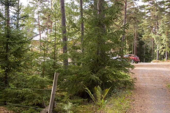 Poliisi teki Airiston Helmeen liittyvässä tutkinnassa kotietsintöjä samaan aikaan useissa kohteissa Turun saaristossa syyskuussa. KUVA: JARI LAURIKKO