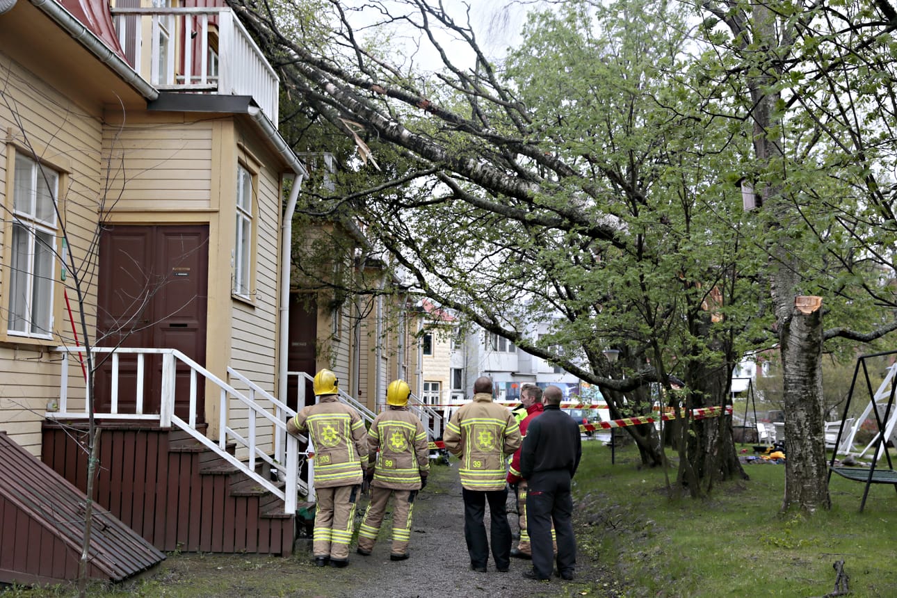 Pelastuslaitoksen väki raivasi talon päälle kaatunutta puuta Oulun keskustassa lauantai-iltana.