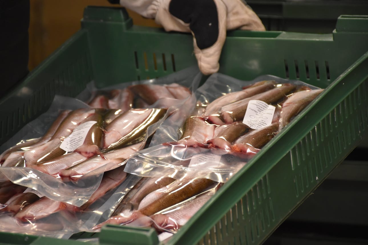 Hankkeen suunnitelman mukaan kalanjalostukselle on kysyntää ja alueella on käytettävissä teollisen mittaluokan tiloja, mutta kasvua rajoittavat jalostusratkaisujen, toimijaverkoston ja kaupallistamisen puutteet.