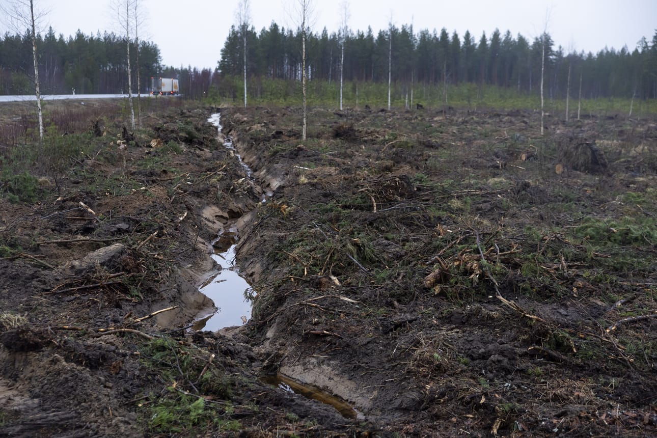 Tien varressa on tehty hakkuita, sillä myrsky kaatoi ensin ison osan puista.