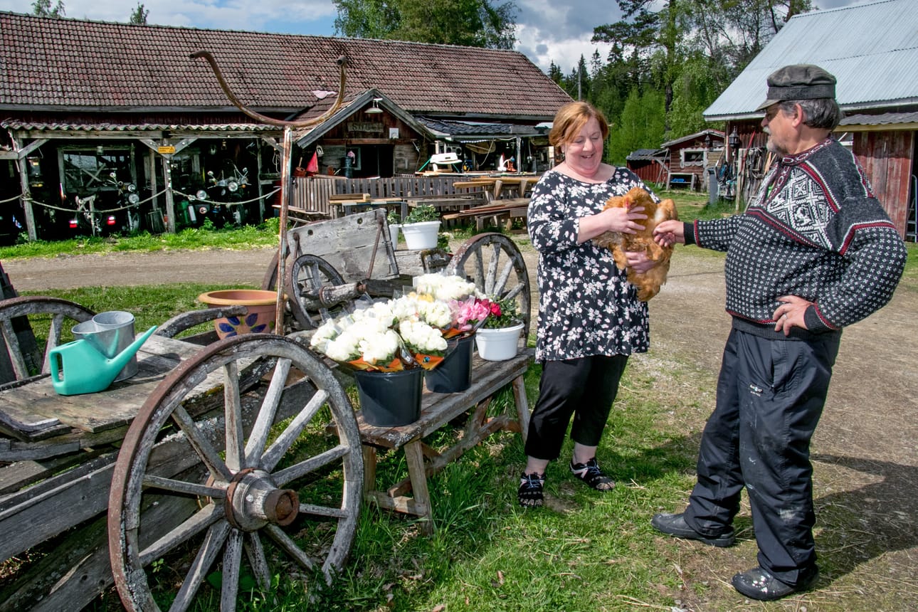 Kurikan Mietaalla Benita ja Kari Niskala ovat pitäneet Hakunin kotieläinpihaa 30 vuotta. Väkeä siellä käy pääasiassa 50 kilometrin säteeltä, jopa Vaasasta. Tilalla on muun muassa kanoja.