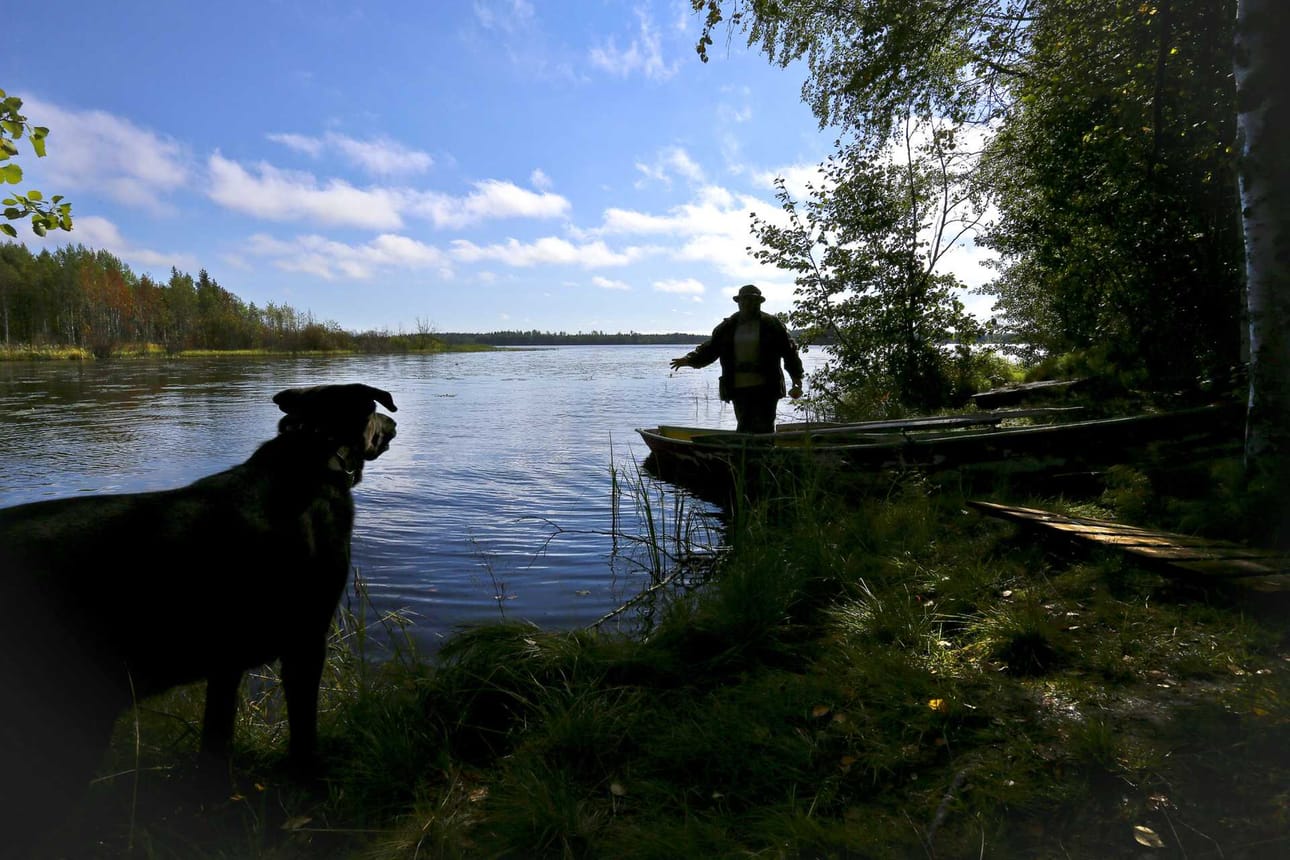 Kyyhkysen pyynti alkaa elokuun 10. päivä. Sorsan pyynti kymmenen päivää myöhemmin.