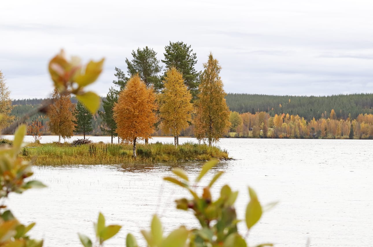 Kirjoittaja pohtii, että maaseudulla asumisessa turvallisuus on parhaita puolia.