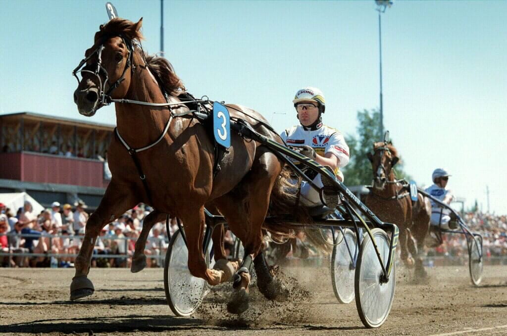 Viesker ja Kaarlo Ahokas kuninkuusraveissa Porissa vuonna 1999.