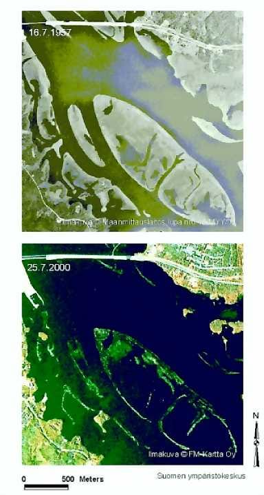 Vesikasveja ennen ja nyt. Kemijärven tulvasaaret Kemijärven kaupungin kohdalla luonnontilassa kesällä 1957 ja säännösteltynä kesällä 2000.