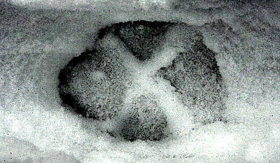 Susihavaintojen vuoksi Sotkamossa on päädytty erikoisjärjestelyihin lasten koulukyydeissä.