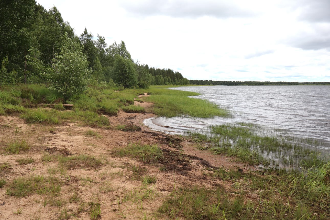 Eläinten uimaranta on avattu Pudasjärven rannan läheisyyteen vanhan laavun rantaan.
