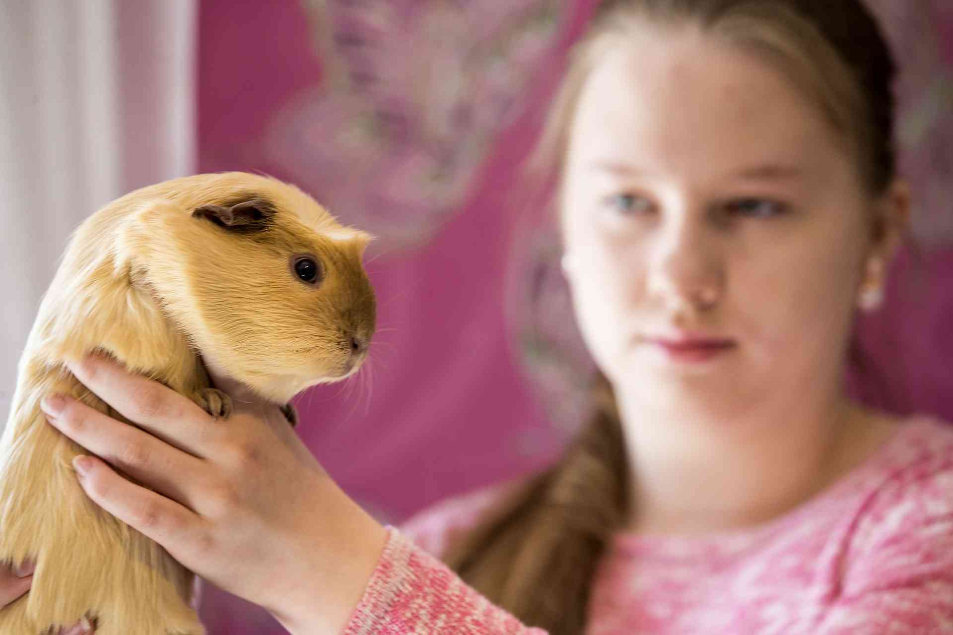 Ninni-Maria Rantalan marsut ovat saaneet lukuisia palkintoja.
