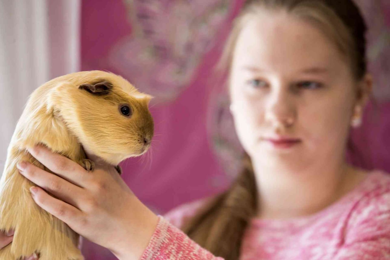 Ninni-Maria Rantalan marsut ovat saaneet lukuisia palkintoja.