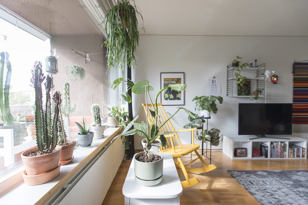 Olohuone on avara. Kevytrakenteiset huonekalut lisäävät tilan tuntua. Kun asuja näki myynnissä olevan keltaisen kiikkutuolin, se oli ”pakko ostaa” pois.
