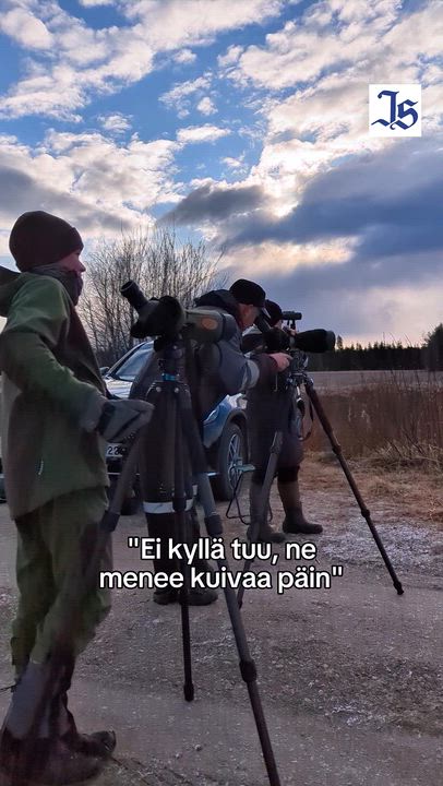 Lintujen kevätmuutto ei ole enää entisensä edes Jurvanjärvellä – Päivän retken saldo oli silti yli neljäkymmentä lajia