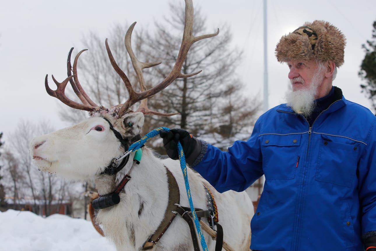 Säyseän Alfa-poron kyytiin pääsivät kaikki halukkaat.