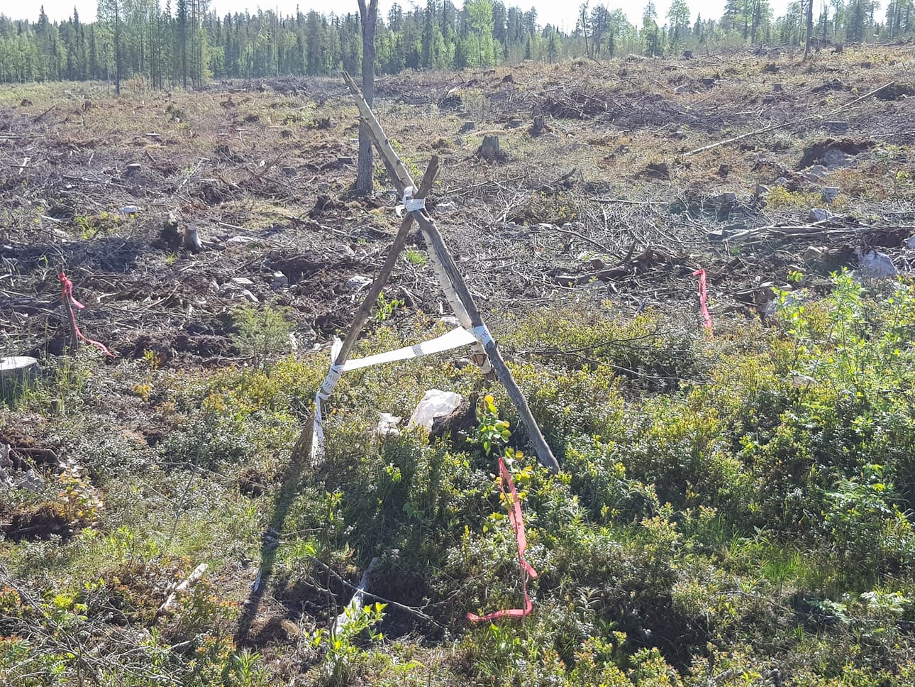 Työmaalta löytyneet dynamiitti ja sytyslanka ovat todennäköisesti peräisin 1960- tai -70 luvulta.
