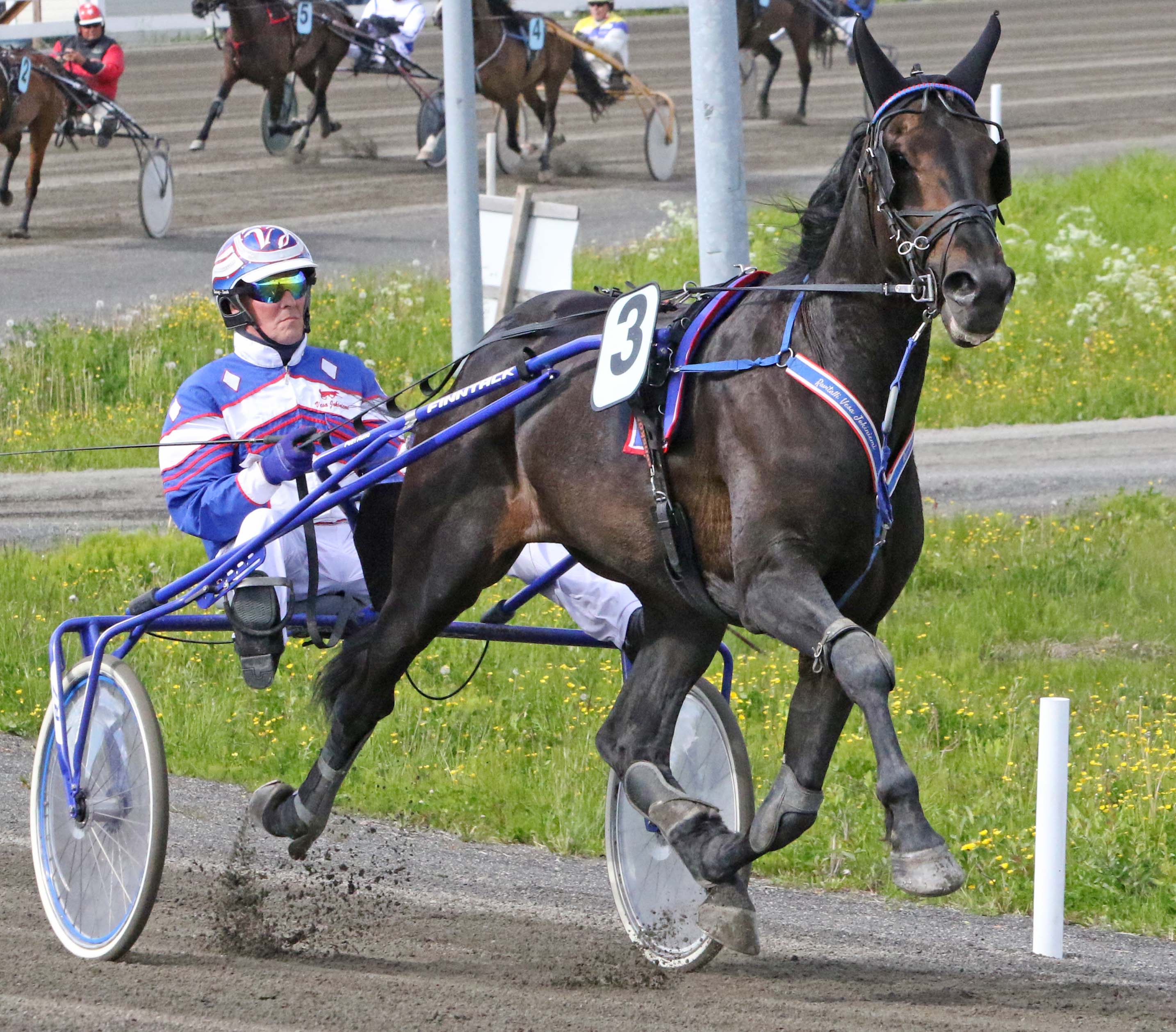 Elenors Magic tauolta suoraan parrasvaloihin