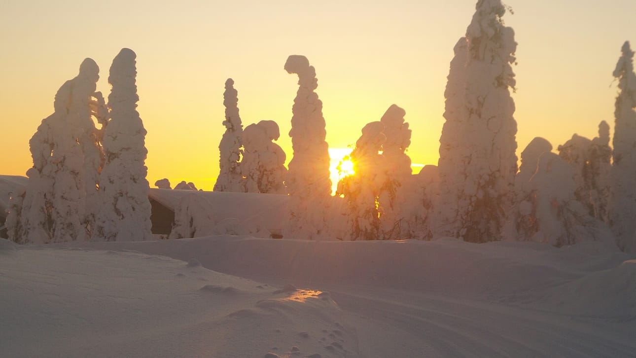 Kevätpäiväntasaus Kirintövaarassa