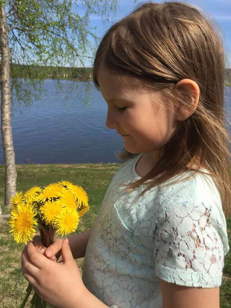 Flower power. Voikukissa on auringon voimaa!