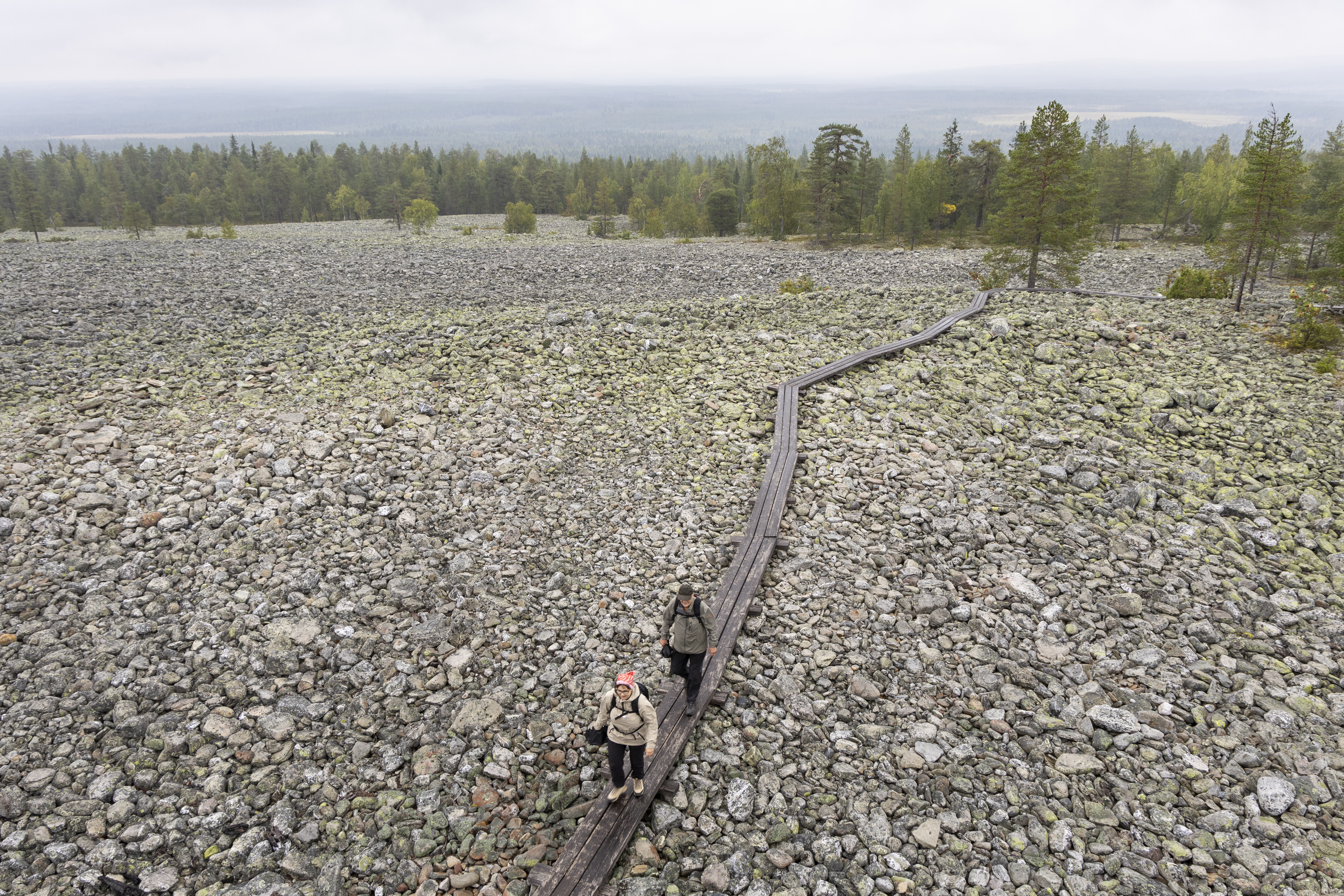 Hannele and Aaro Kuopio hiking on the top of Kätkävaara on Friday afternoon. The logging area is a few hundred meters to the right.