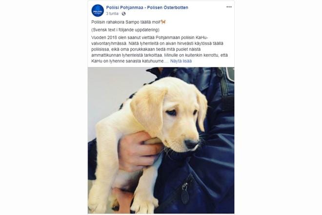 Kuvakaappaus Pohjanmaan Poliisin Facebook-sivulta.