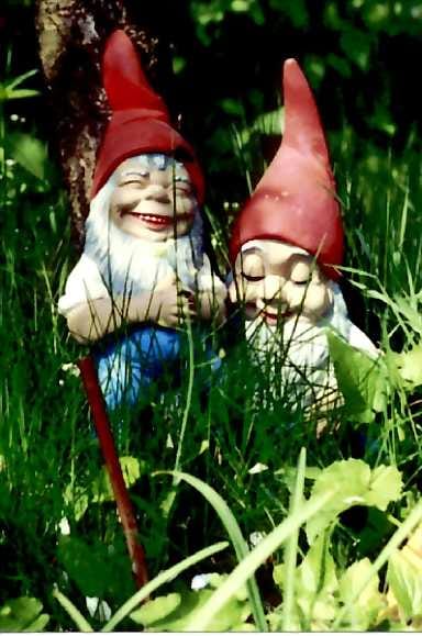 Keräilykohde. Puutarhatontut tunnistaa joulutontun sukulaisiksi.