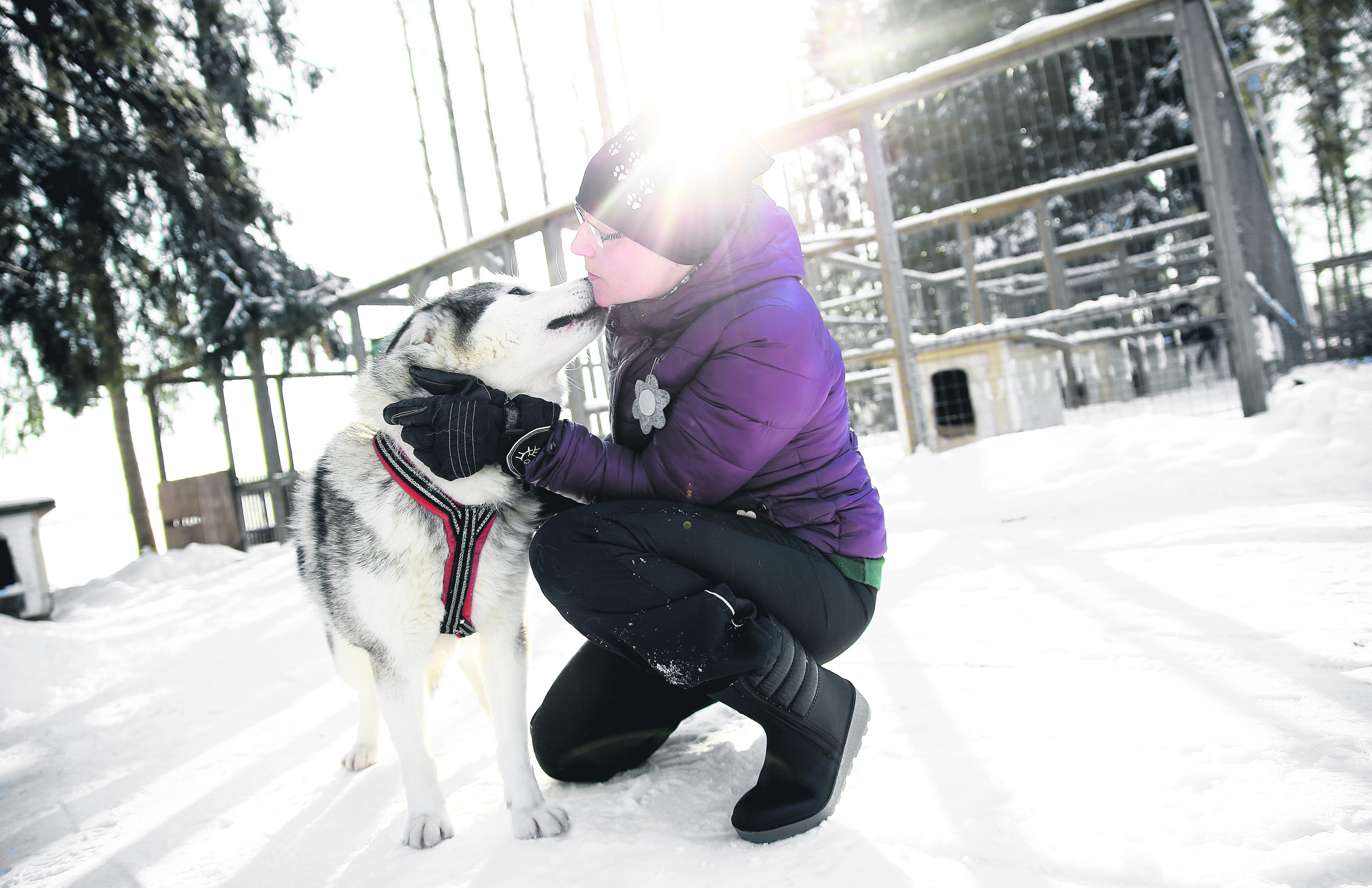 Valjakon kärkiparissa SM-kisoissa juossut Dille saa Anne Arvolalta vuolaita kehuja: - Todella lupaava nuori uros. Tällä hetkellä yksi laumamme parhaista.