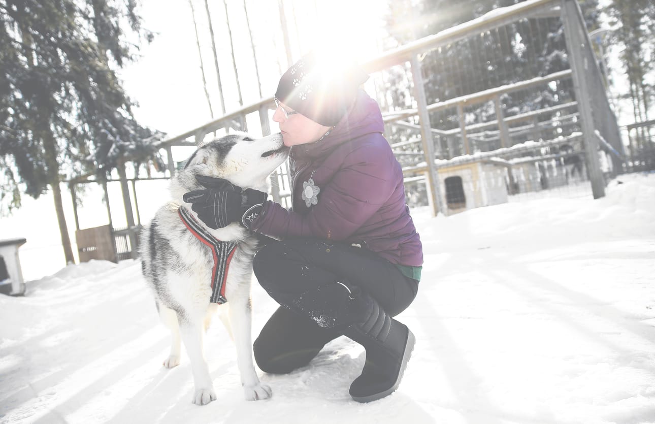 Valjakon kärkiparissa SM-kisoissa juossut Dille saa Anne Arvolalta vuolaita kehuja: - Todella lupaava nuori uros. Tällä hetkellä yksi laumamme parhaista.