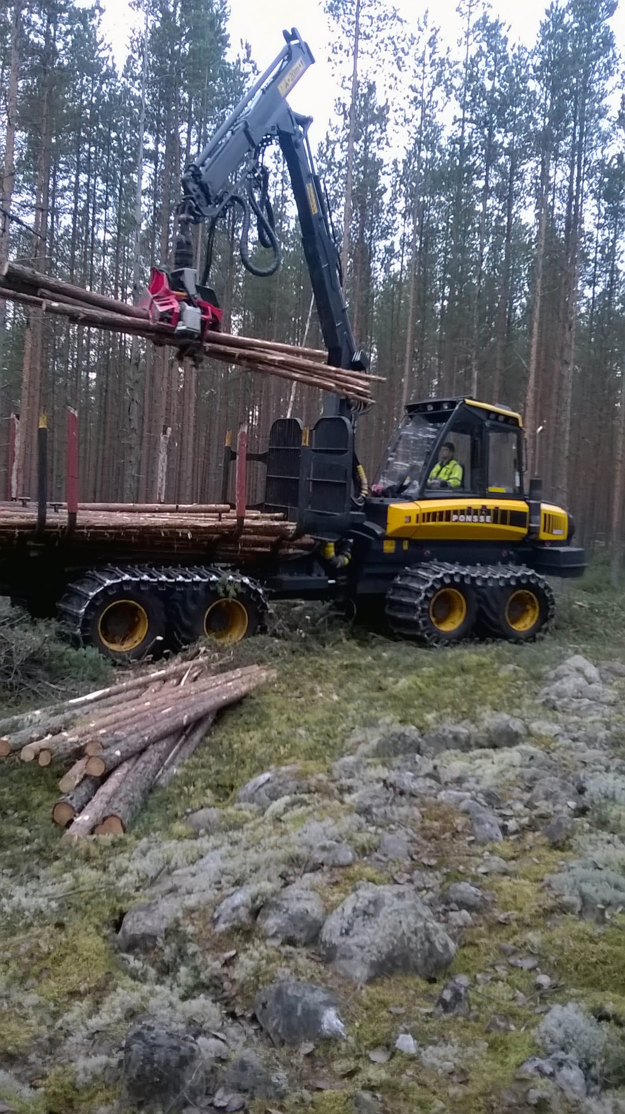 Mikko Vikström poisti puustoa jätinkirkon läheisyydestä, jotta mystinen rakennelma näkyisi ja säilyisi paremmin.