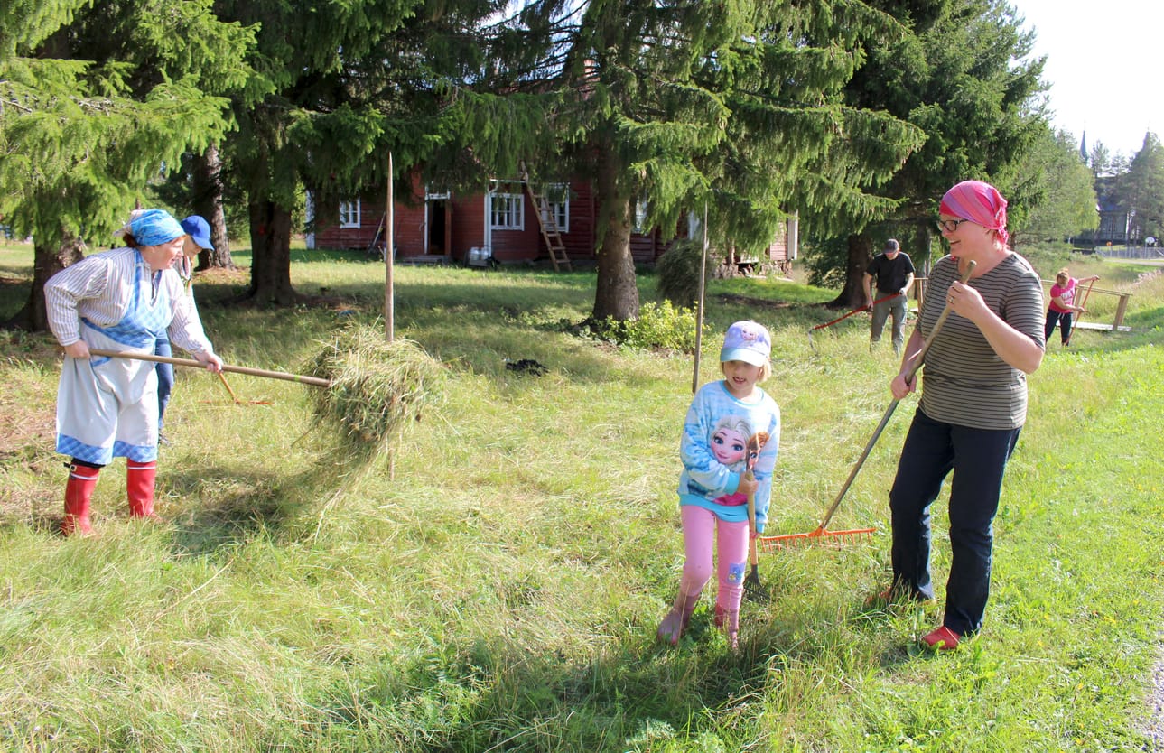 Pulkkilan Seura otti osaa Suomen luonnon päivään järjestämällä heinätalkoot Turulassa. Heiniä haravoimassa Ulla Törmäkangas, Seija Junno, Emma Hatunen ja Minna Hatunen. Viikatteella niittämisen taitavat Pasi Kortekangas ja Kirsi Träskelin.