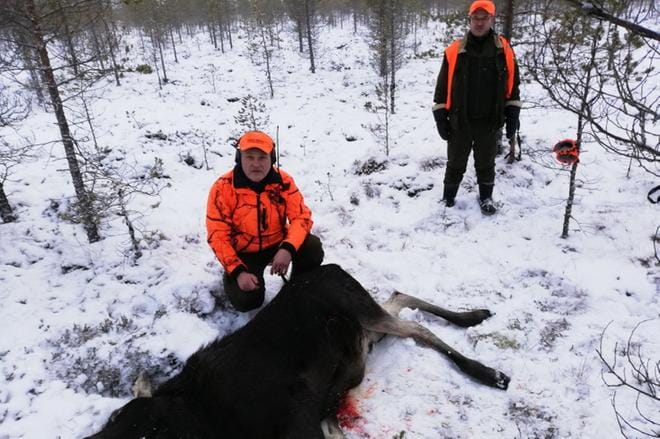 Jarmo Seppälä (edessä) ampui viime torstaina kaksi vasaa Menkijärvellä. Kuvassa myös Martti Winter. KUVA: JORMA VÄLISAARI