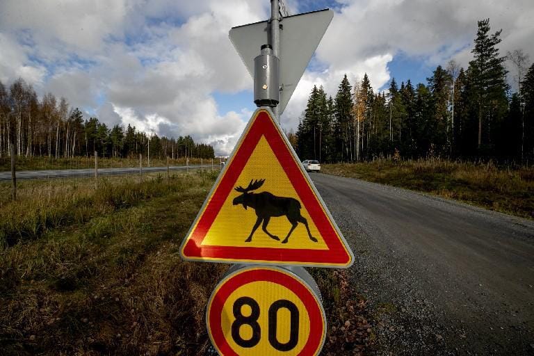 Tienkäyttäjiltä toivotaan palautetta Rengonharjulla ja Luopajärvellä olevista älykkäistä riistavaroitusjärjestelmistä. Arkistokuva.