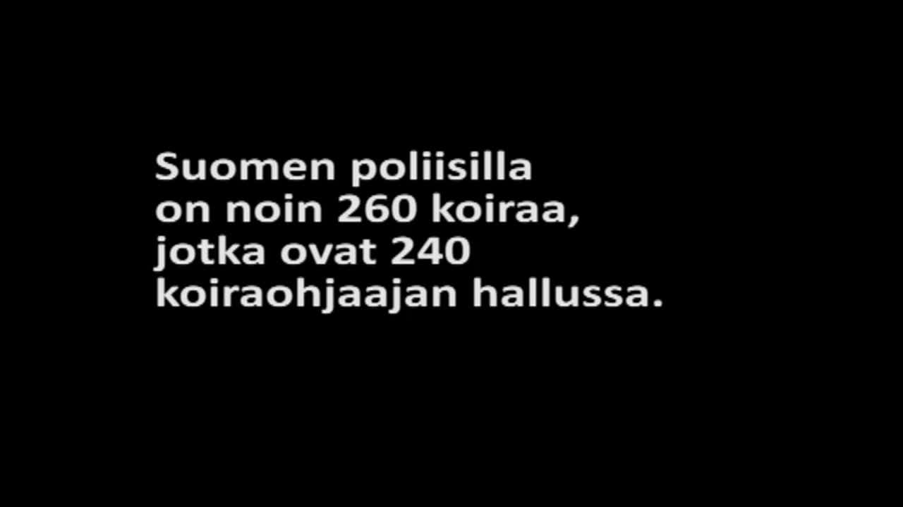 Poliisikoirakokelas Eppu, poliisikoira Argo ja koiraohjaaja Toni Laakso