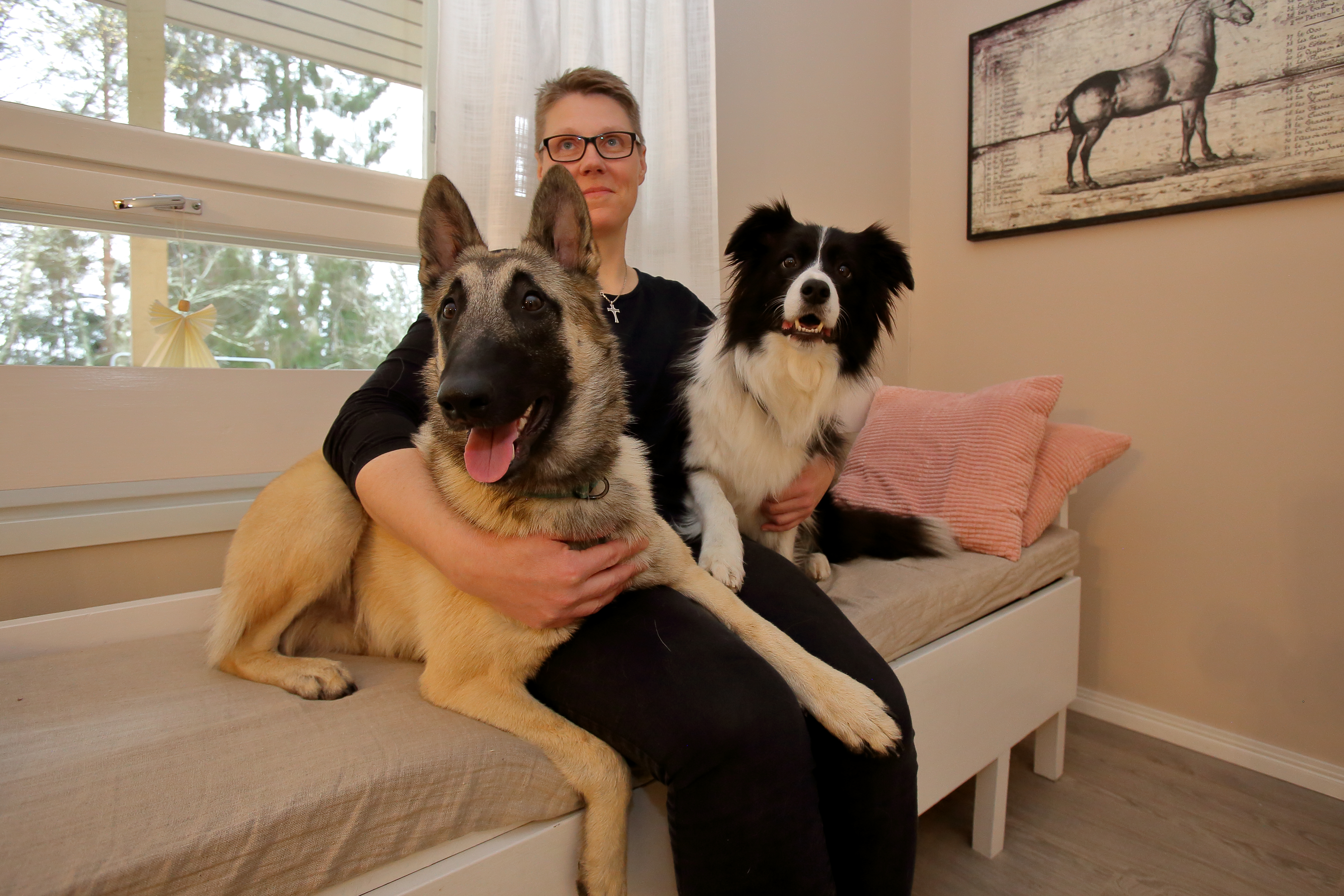 Anne Sipolan homekoira haistaa ongelmakohdat – Bordercollie Tinka on kutsuttu usein asuntokauppatilanteisiin