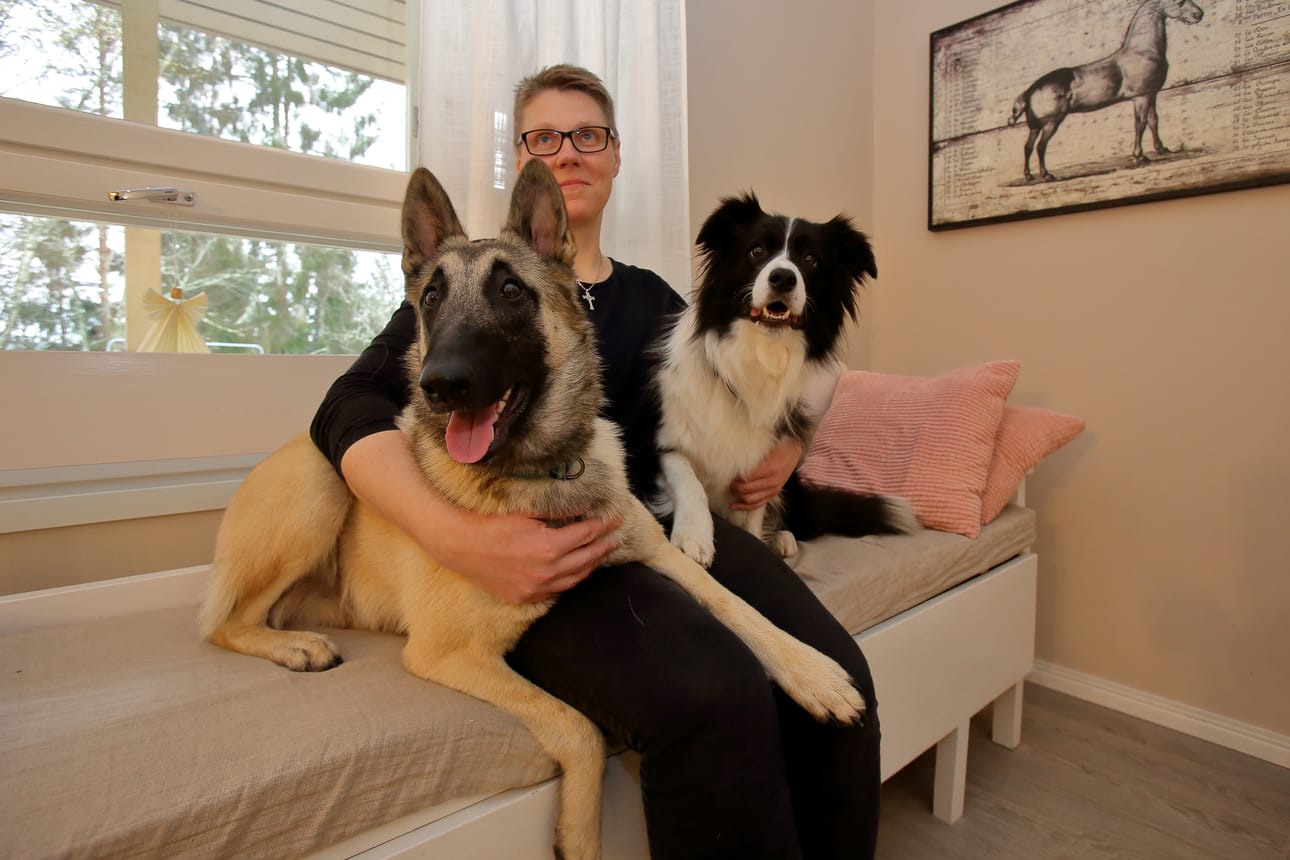 Anne Sipolan homekoira Tinca (oik.) on aina innokas nuuskimaan homeita. Perheen juniori Cäpy on vielä oppipoika. – Homekoiran kouluttaminen on niin mielenkiintoista ja tästä voi olla hyötyä jollekin ihmiselle, Sipola sanoo.
