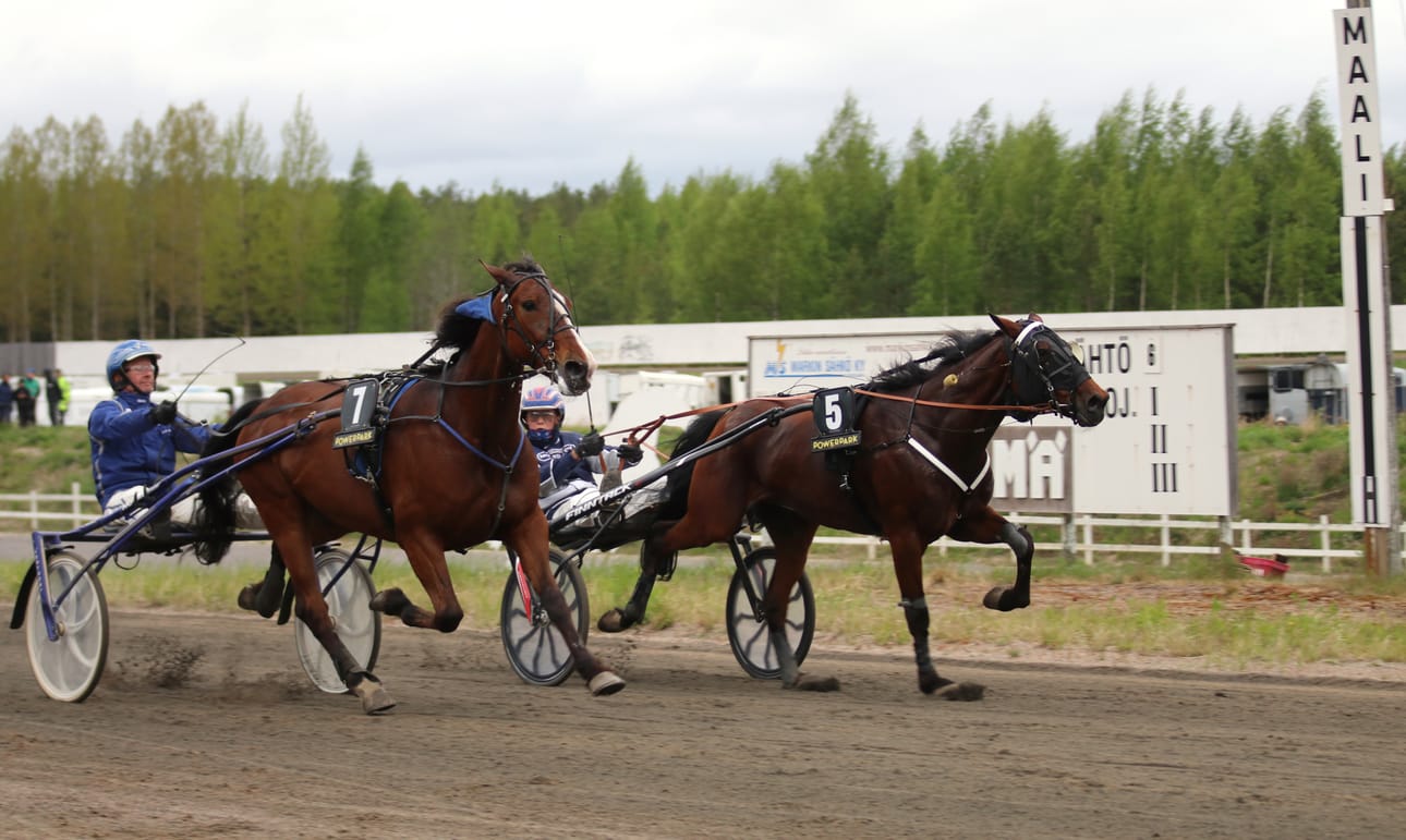 Lämminveristen päälähtö oli Farzad Bokon ja Pajas Facen peli. Edellinen voitti puolen päänmitan erolla.