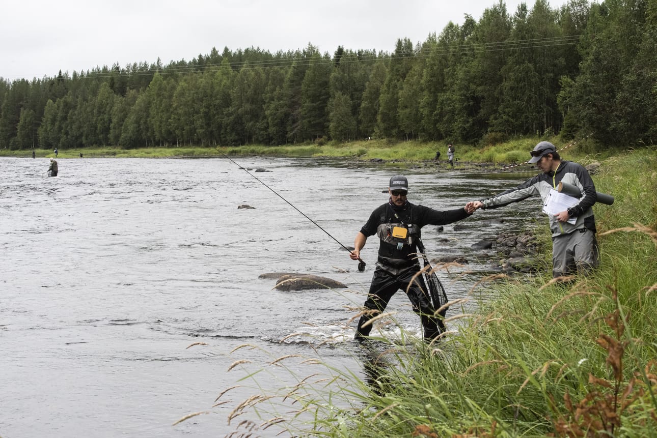 Perhokalastuksen MM-kisat starttaavat torstaina. Kuva heinäkuun lopun SM-kisoista Iijoelta.