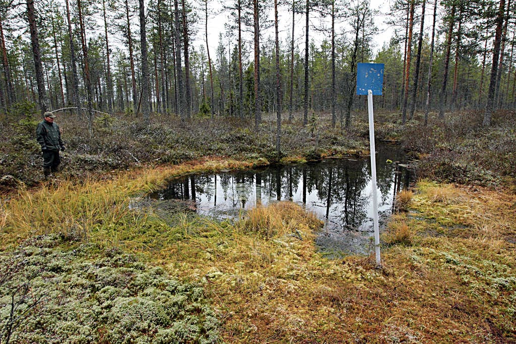 Vaasan hallinto-oikeus palautti Viinivaaran pohjavesihankkeen uudelleen käsiteltäväksi Pohjois-Suomen aluehallintovirastoon.