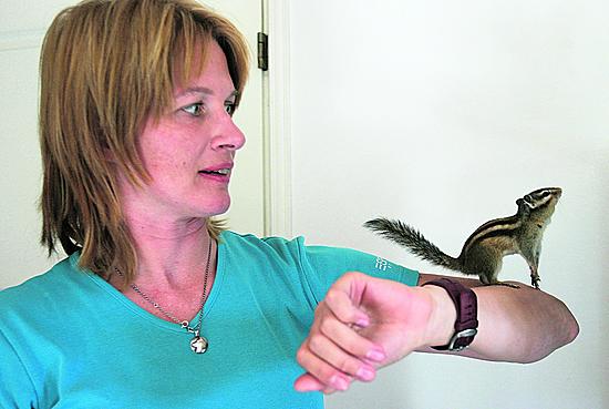 20060824 - Haukipudas - maaoravien kasvattajaa. Heli Åman