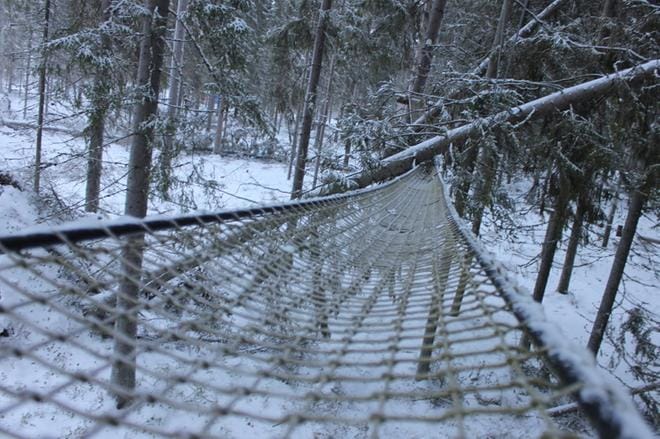 Aapeli-myrsky on vielä tuoreessa muistissa. Muun muassa Tuurissa seikkailupuisto Huikian radat kokivat kovia vuoden alun Aapeli-myrskyssä. KUVA: REIJO HEIKKILÄ
